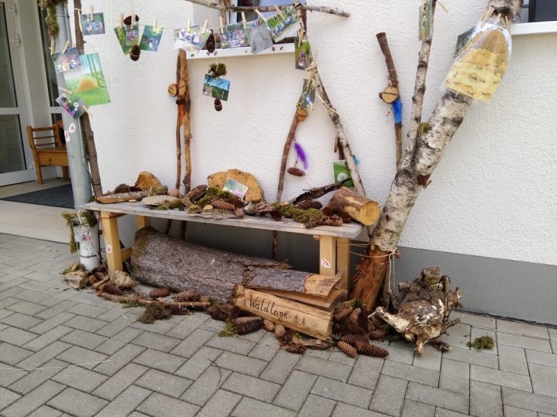 Fundstücke Waldtage