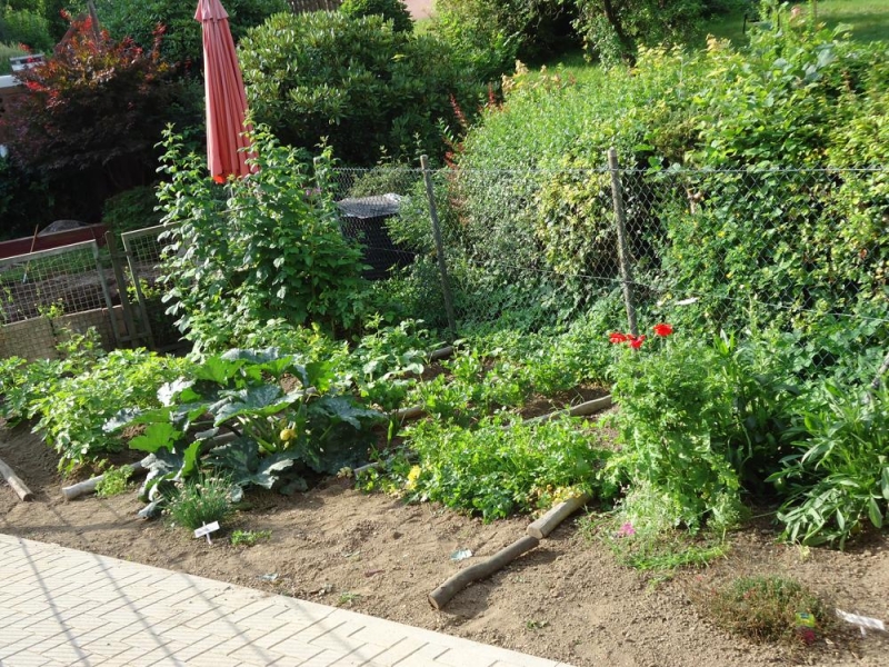 Unser Garten