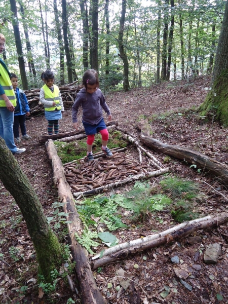 Wald-Tast-Pfad